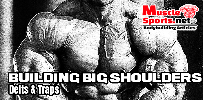Building Big Shoulders: Delts & Traps